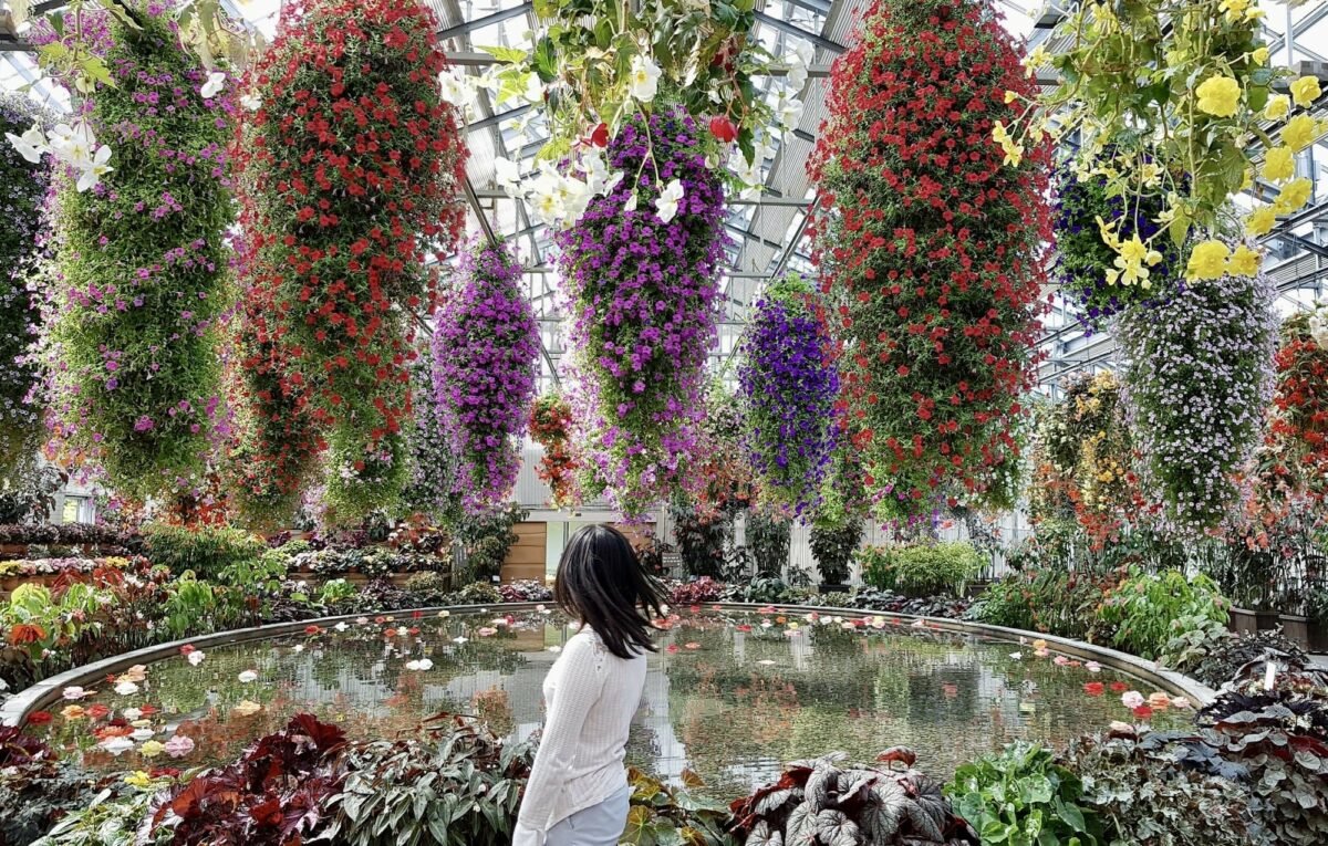 🌿 도쿄도 약용식물원 (도쿄토 야쿠요 쇼쿠부츠엔) 이미지 8